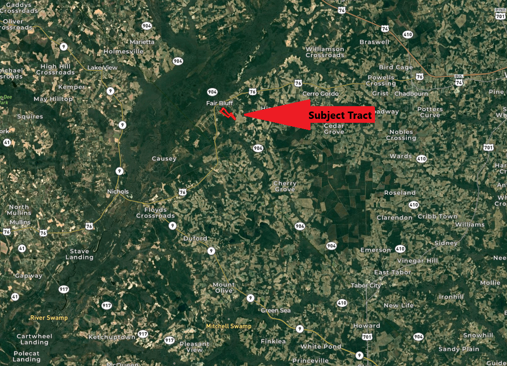 100482787 | Photo 14